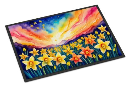 Daffodils in Color Doormat Front Door Mat Indoor Outdoor Rugs for Entryway, Non Slip Washable Low Pile, 24H X 36W