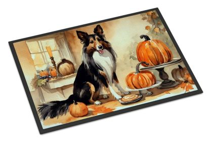 Collie Fall Kitchen Pumpkins Doormat Front Door Mat Indoor Outdoor Rugs for Entryway, Non Slip Washable Low Pile, 24H X 36W