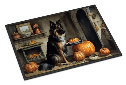 Belgian Tervuren Fall Kitchen Pumpkins Doormat Front Door Mat Indoor Outdoor Rugs for Entryway, Non Slip Washable Low Pile, 24H X 36W