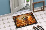 NEW Golden Retriever Fall Doormat Front Door Mat Indoor Outdoor Rugs for Entryway, Non Slip Washable Low Pile, 18H X 27W