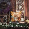 Aegean Cat in Fall Leaves Throw Pillow Machine Washable, Indoor Outdoor Decorative Pillow for Couch, Bed or Patio, 14Hx14W