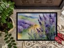 Lavender in Watercolor Doormat Front Door Mat Indoor Outdoor Rugs for Entryway, Non Slip Washable Low Pile, 24H X 36W