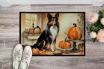 Collie Fall Kitchen Pumpkins Doormat Front Door Mat Indoor Outdoor Rugs for Entryway, Non Slip Washable Low Pile, 24H X 36W